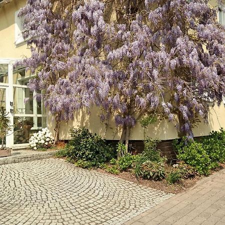 Pension Franzbaecker Warburg Extérieur photo