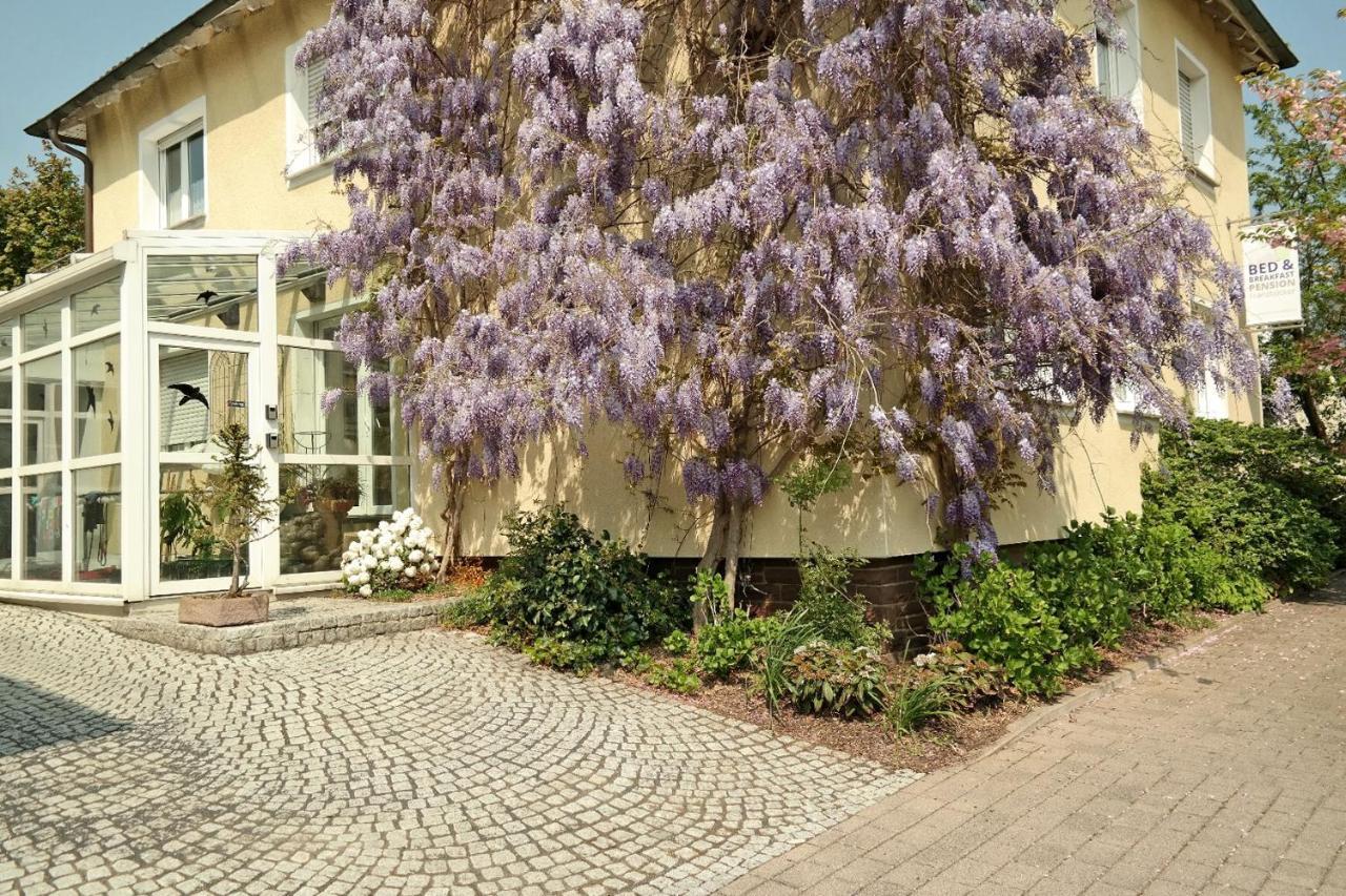 Pension Franzbaecker Warburg Extérieur photo